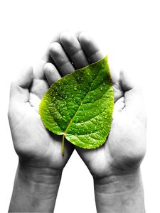 自动化特征工程的投资回报率分析